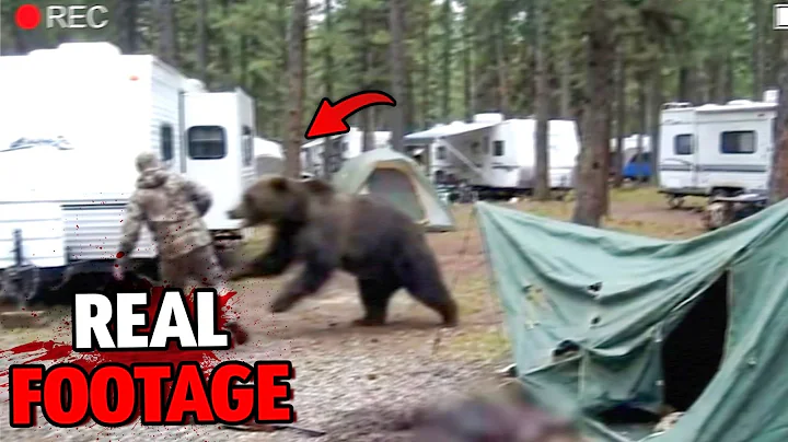 Grizzly Bear Attacks Hunters’ RV Park on October 27th, 2025