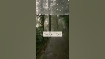 سورة نوح | سعد الغامدي 💜