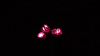 THE END OF 3 BIG PRO STROBE BIG FIREWORKS HUGE STROBE!!!!!!!!!!!!!🔥🔥🔥🔥🔥🔥