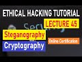 Steganography Tutorial: Learn How to Hide Files Inside Images 🔐 | Ethical Hacking Course Lecture 45