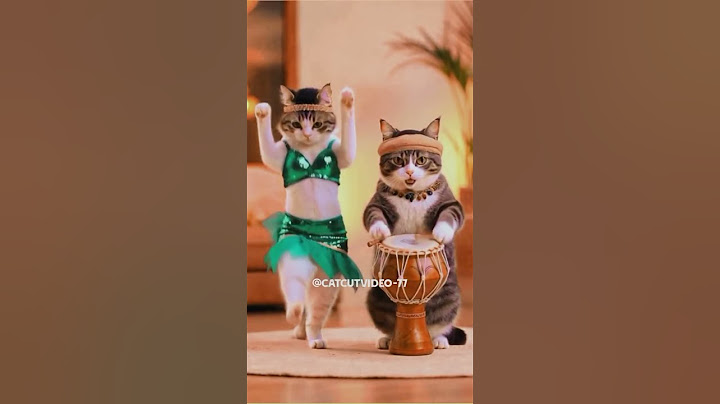 Cat dance video #shortvideo #traindingvideo #cat #catcut #viralvideo #@CatCutVideo-77