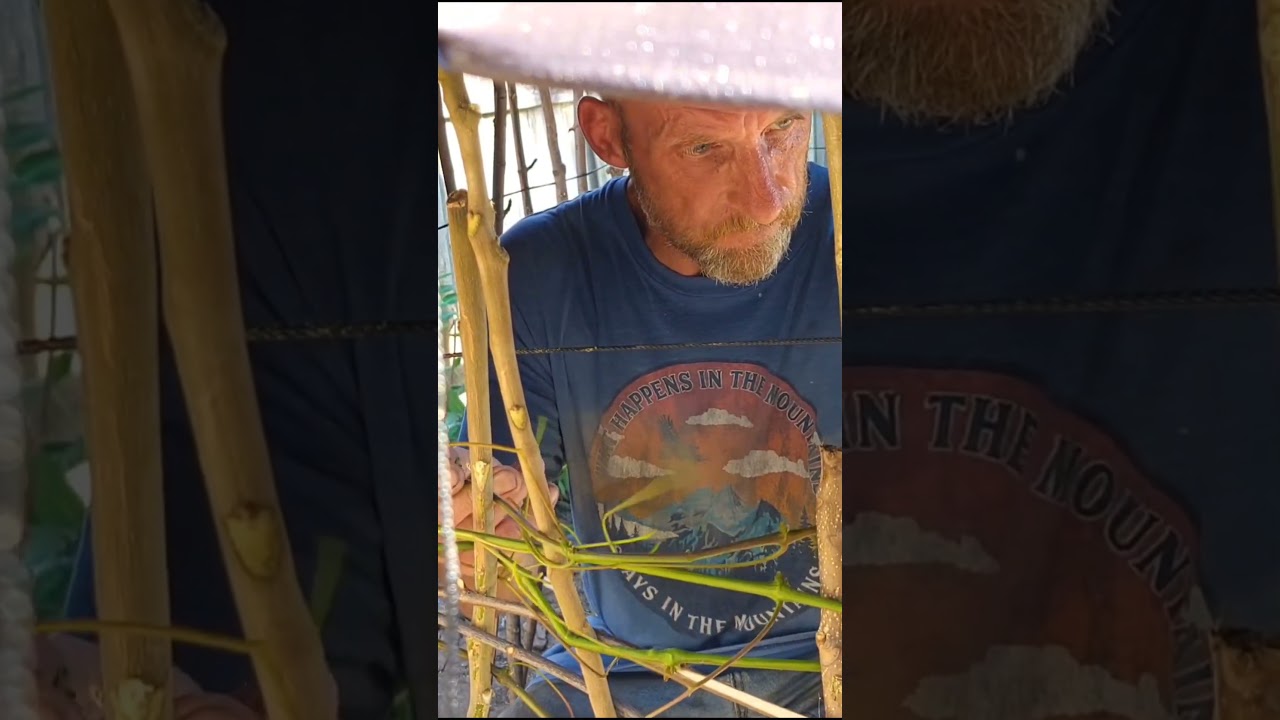 👉 Day 3: Primitive Shelter Wall Build