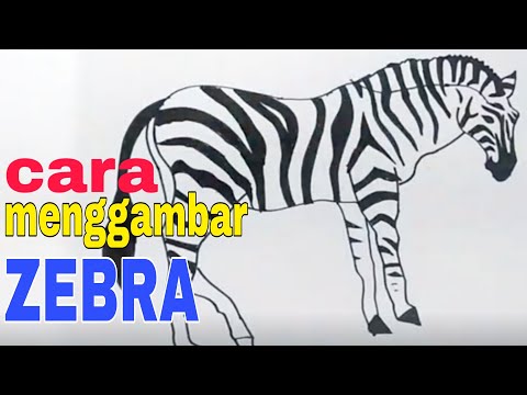  Cara  Menggambar  Hewan  Zebra YouTube