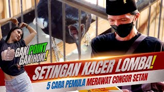 5 Cara Setingan KACER Untuk LOMBA versi MBAH CHENGOH