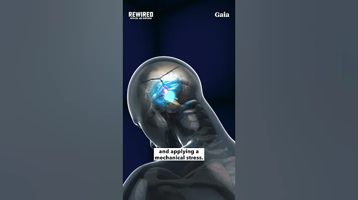 Spinal Fluid ACTIVATES the Pineal Gland in Meditation