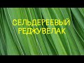 Реджувелак сельдереевый (мастер-класс Дмитрия Якуба)