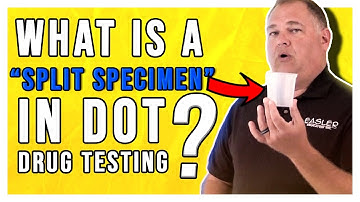 What is a Split Specimen in DOT Drug Testing?