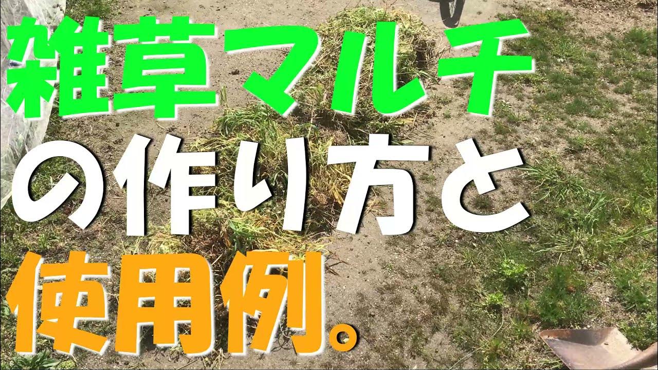 家庭菜園 雑草マルチの作り方と使用例 ニンジンの畝の保水に 自然農法 草マルチ ニンジン 育て方 雑草 Youtube