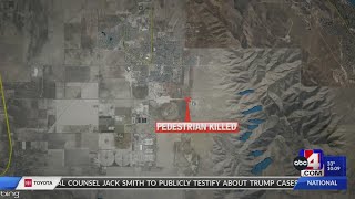 Man struck and killed by UHP trooper in Eagle Mountain identified