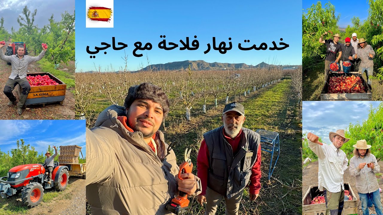 الفلاحة في اسبانيا 🇪🇸معلومات و طريقة العمل في هذا المجال و الاماكن الموجود فيها العمل في 🇪🇸