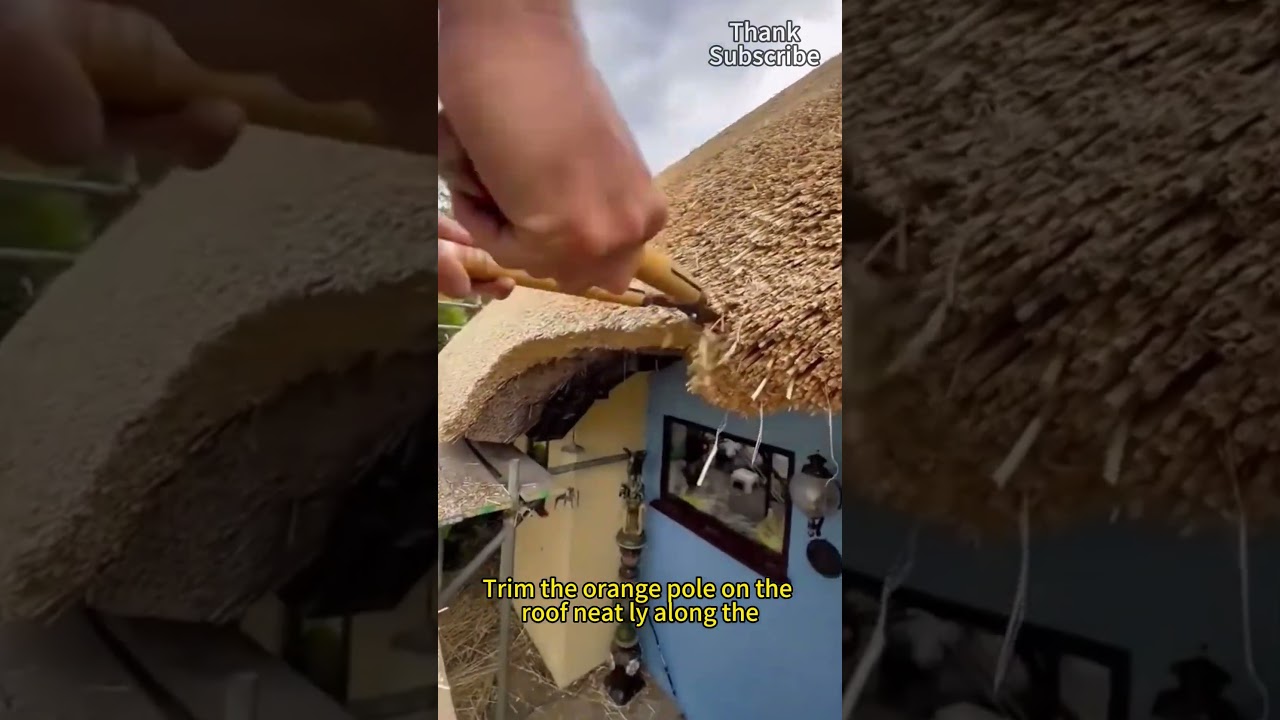 Используйте ножницы с двумя ручками, чтобы аккуратно подрезать стебли на крыше вдоль карнизов.