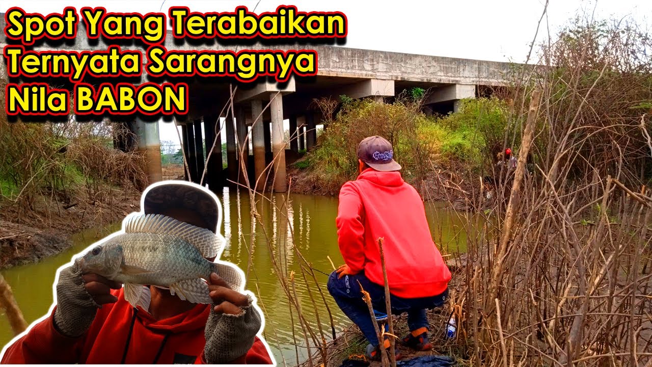 AIRNYA TINGGAL SEGINI! TAPI IKANNYA BABON BABON! - MANCING WADUK KALI BENING TERBARU!