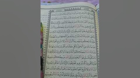 أحكام تجويد سورة المائده 46.     48