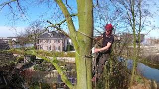 Download Lagu Van Ginkel Boomrooierij, werk te Alphen aan den Rijn MP3