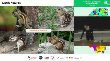 [T1 2022] Formation et évolution des motifs cutanés chez les oiseaux - Marie Manceau