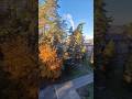#Краслава #после#ночного#мороза -8 :))#Латвия#октябрь2025