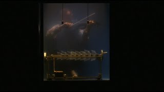 Iris Van Herpen Fashion Show - Haute Couture Autumn/Winter 2017/18