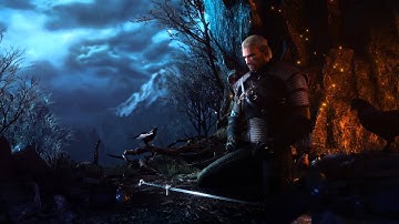 Skyrim MOD : Witcher Style Meditate Waiting Demo