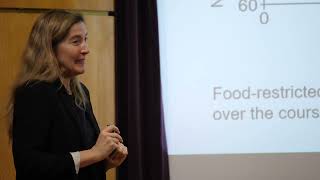 AISSAI Workshop : Energeticsof computation in artificial and natural networks