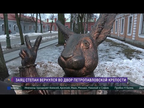 Заяц Степан вернулся во двор Петропавловской крепости