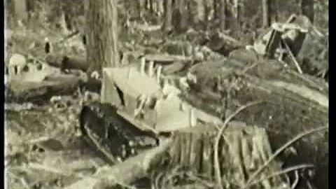 Allison Logging - Coastal Logging in the early 20t...