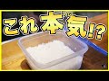 【１４０万再生超え】電子レンジで炊飯器より美味しくご飯を炊く方法！少量でもOK！鍋より簡単！一人暮らしに革命！｜お米の炊き方｜ジップロックコンテナ｜冷凍｜単身｜米｜炊飯