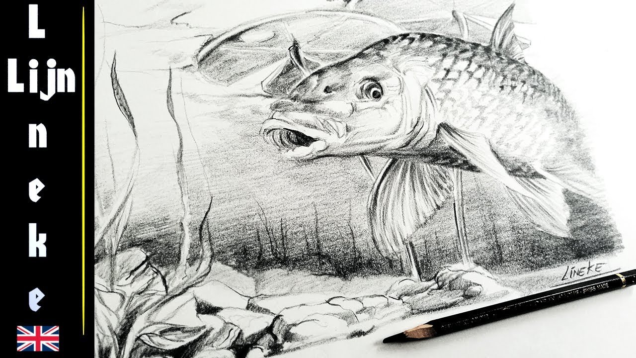 Great Lakes Angler Magazine  Salmon tattoo Alaska art Salmon drawing