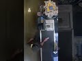 Veronica Sarinana's killer seen in Walmart