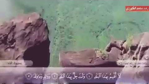 سورة البلد بصوت القارئ رعد الكردي(ارح مسمعك💛💛✨)