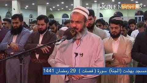 سورة (فصلت) كاملة بصوت القارئ عمر عبدالله | تلاوة مبكية و جميل !!! من اليالي رمضان 1441