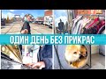 Как в последний раз! Вечеринки. Барахолка. Волонтерство. Один насыщенный день #pixelsoflife