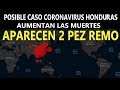 Alerta Máxima Encuentran 2 Pez Remo / Reporte Sísmico Y Más Noticias Importantes