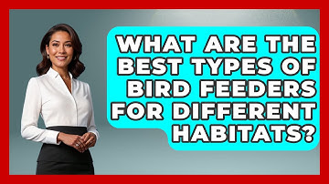 What Are the Best Types of Bird Feeders for Different Habitats? | Bird Watching Diaries