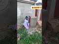 Funniest fails trending fyp viral.