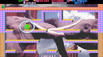 ARCADE MACHINES MAME BUBBLE MEMORIES THE STORY OF BUBBLE BOBBLE III v2 3 J 1996 02 07 1995 TAITO COR