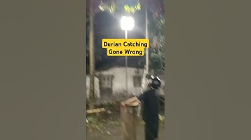 Menangkap Durian yang Salah #alam
