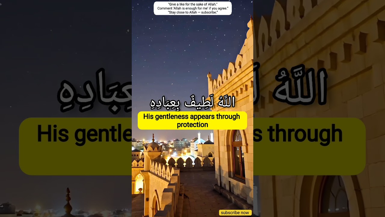Qur’an Reminder: Kindness of Allah ✨🛐 | 