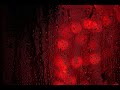 СВЯТА | KAZKA - Перевод на РУССКИЙ
