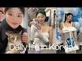       daily life in korea