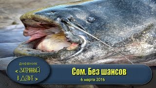 Рыбалка на Волге. Астраханский гигантский сом(Приветствую подписчиков и гостей канала! сайт базы http://fora-fish.umi.ru/ мы в ВК https://vk.com/bazaforafish отзывы на РФ http://www.ru..., 2016-04-13T15:22:32.000Z)