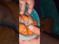 Cheese corn roll delhi fast foodshorts viral tasty food food pizza cheese corn roll