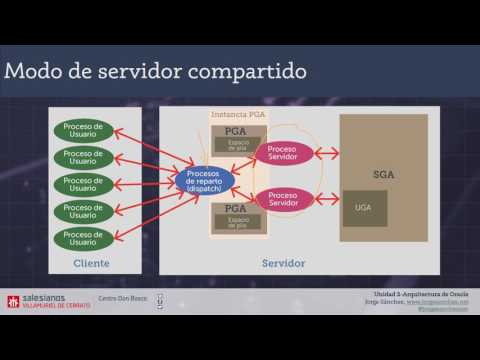 Video: ¿Qué es el área global de usuario en Oracle?