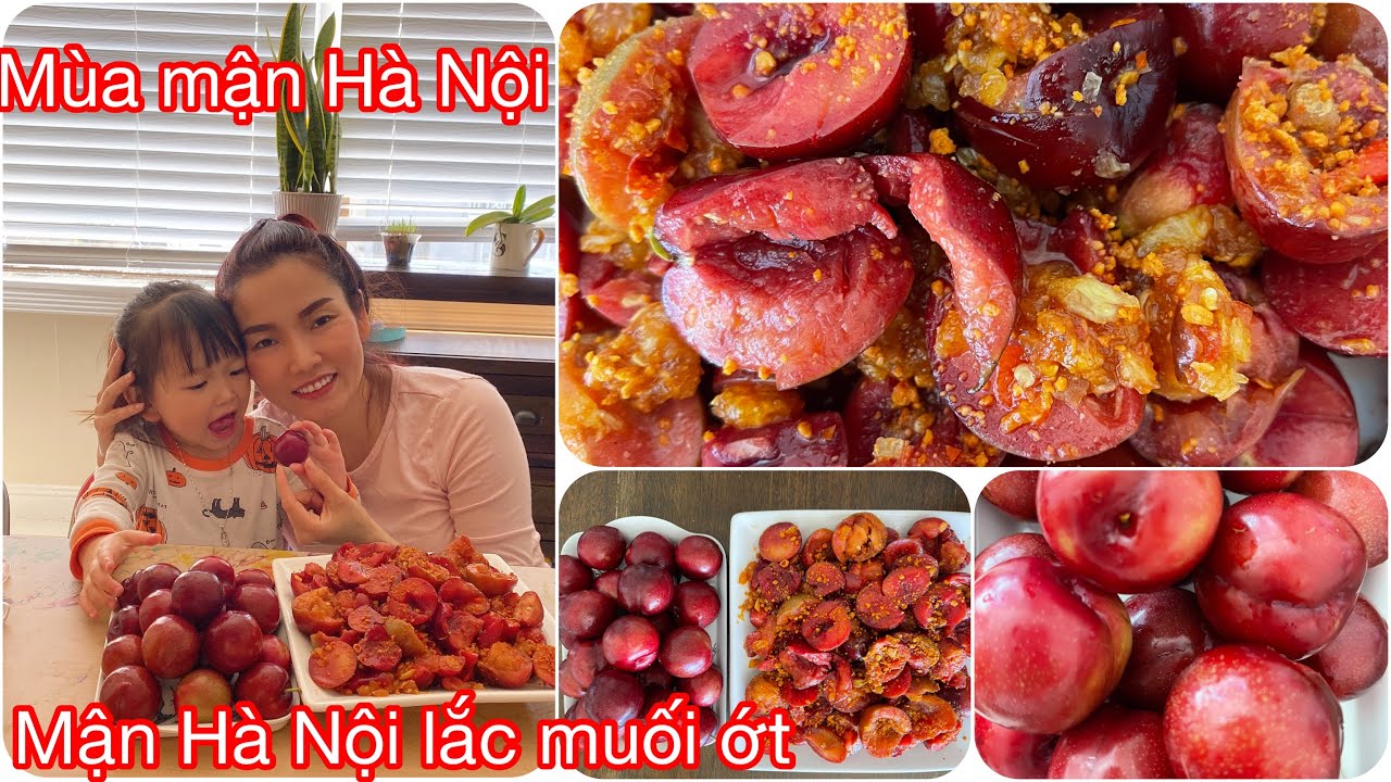 mận hà nội bán ở đâu tphcm Update New Mùa Mận Hà Nội | Người Việt Ở Mỹ Làm Mận Lắc Muối Ớt Ngon Khó Cưỡng Gớt Nước Miếng Hấp Dẫn Tại Nhà