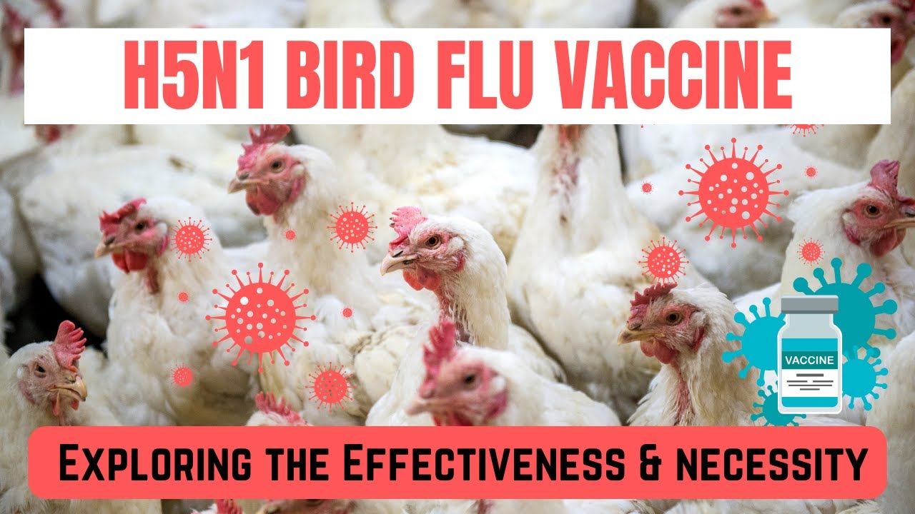 Preparing for a Bird Flu Pandemic: The Role of Stockpiled Vaccines in ...