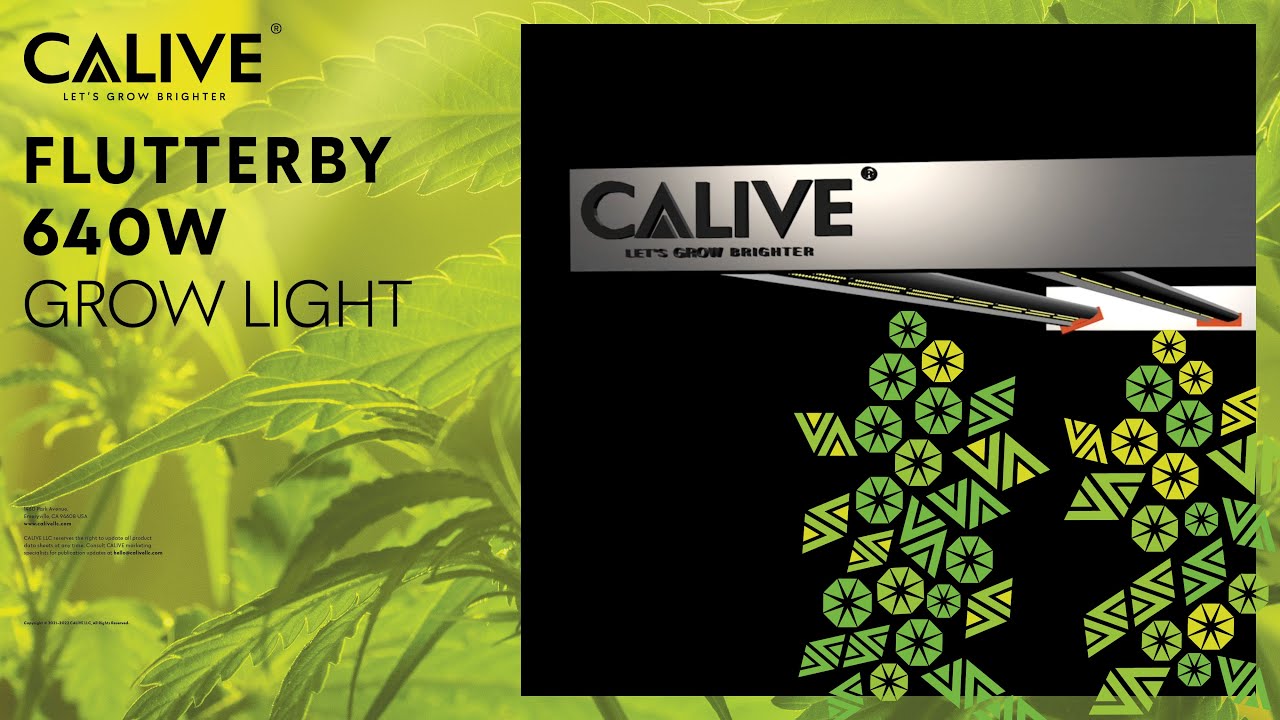 FLUTTERBY 640W | Commercial LED Grow Light | CALIVE - YouTube