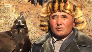 Защита животных в Казахстане Защита животных в Казахстане