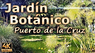 Jardín Botánico in Puerto de la Cruz, a beautiful botanical garden / Tenerife, Spain / 4K