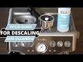 How To Clean And Descale The Breville Barista Express | Espresso Machine Full Maintenance Guide