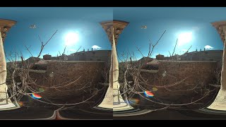 3D VR180 4K - NATURE SOUNDS : Birds 1 - At a spanish town at Huesca province
