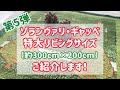 【第5弾】ゾランヴァリ・ギャッベのリビングサイズ（約300cmX200cm）をご紹介します！